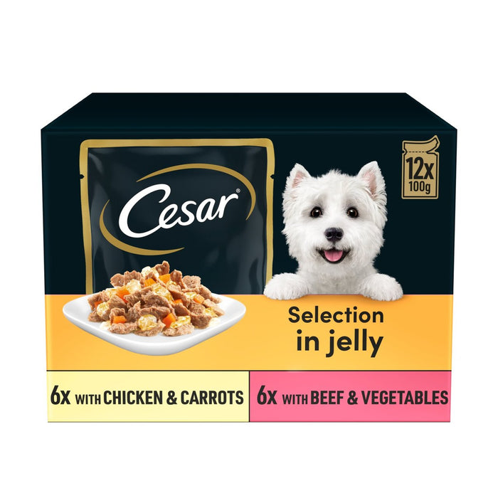 César bolsas de comida para perros deliciosamente frescas en gelatina 12 x 100g